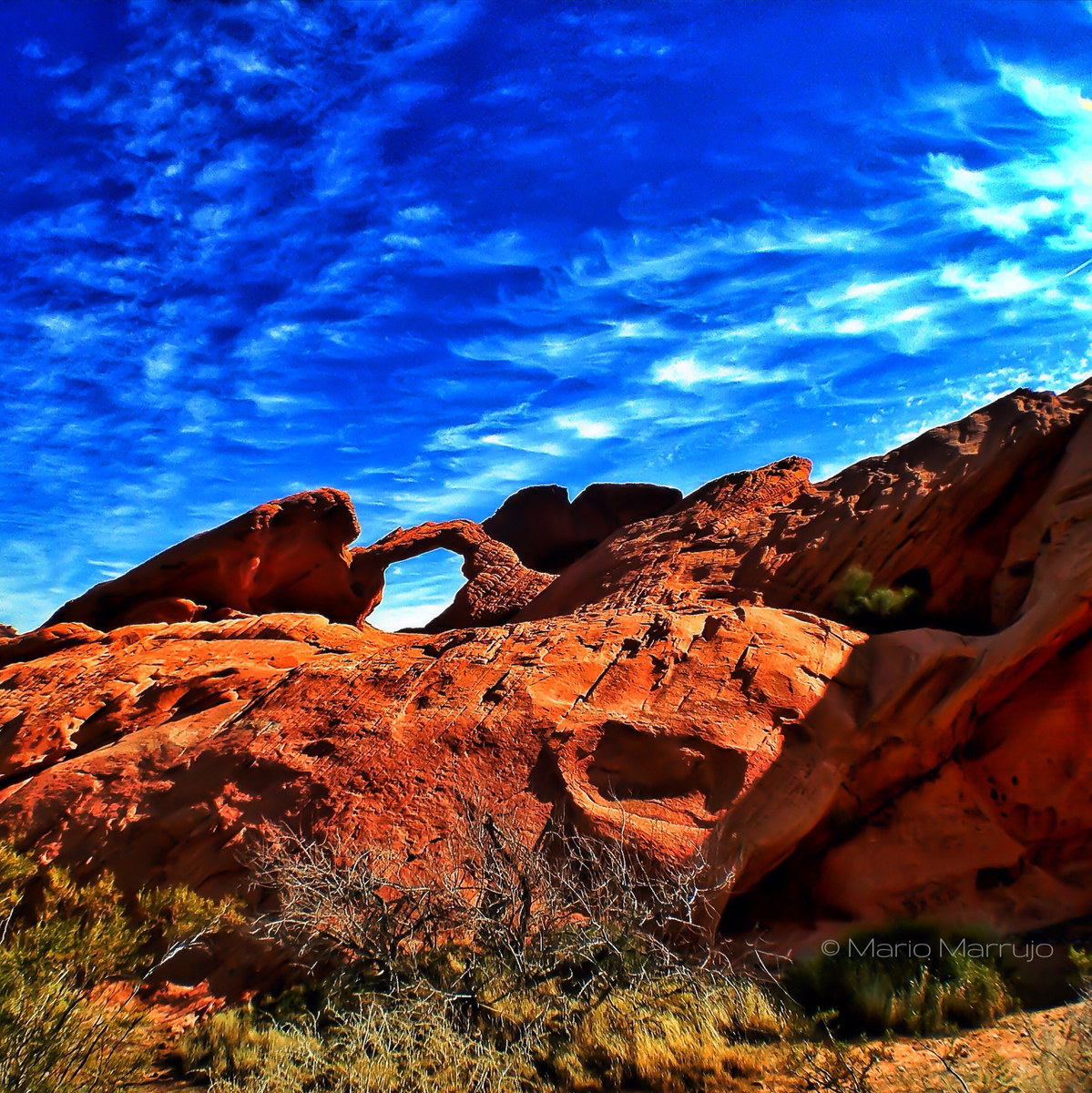 Desert landscape photograph 8 by Mario Marrujo