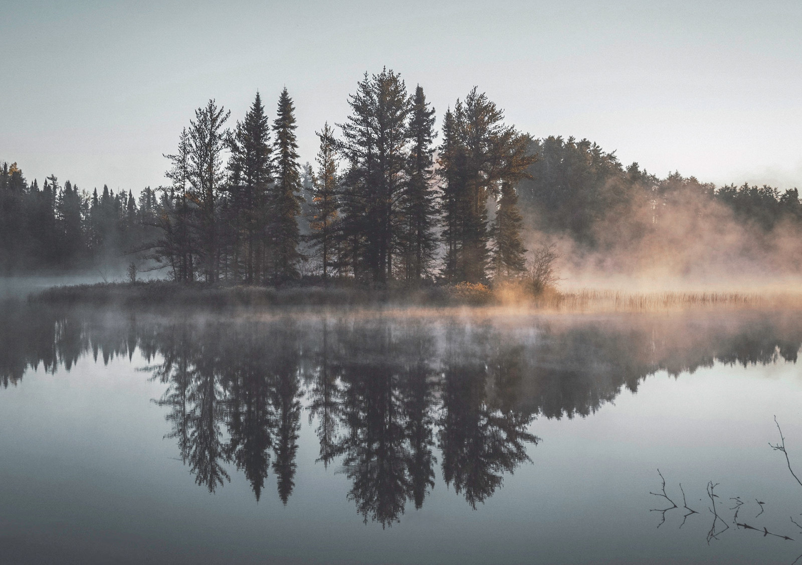 Forest and wilderness landscape photograph 1 by Mario Marrujo