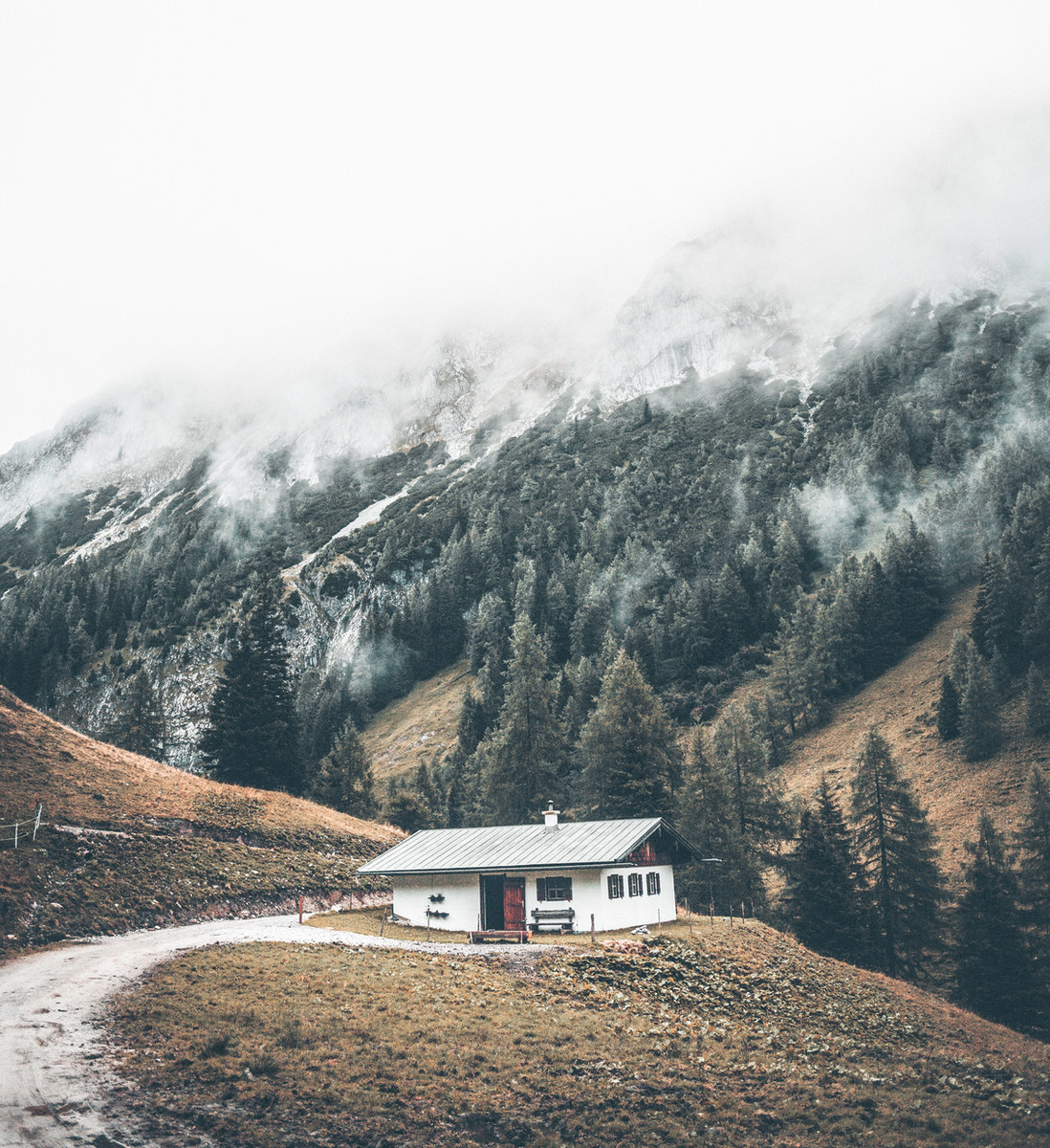 Forest and wilderness landscape photograph 3 by Mario Marrujo