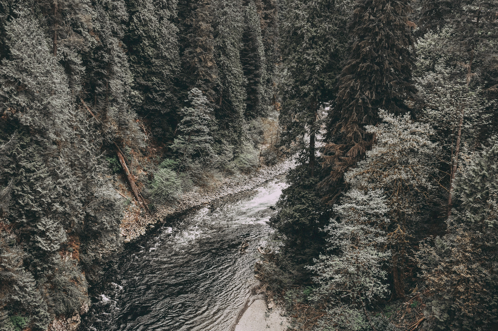 Forest and wilderness landscape photograph 5 by Mario Marrujo